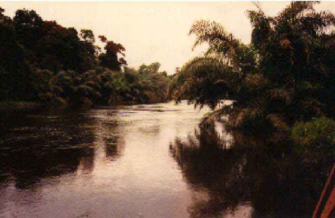 Un magnifique paysage du gabon: le kouilou niari