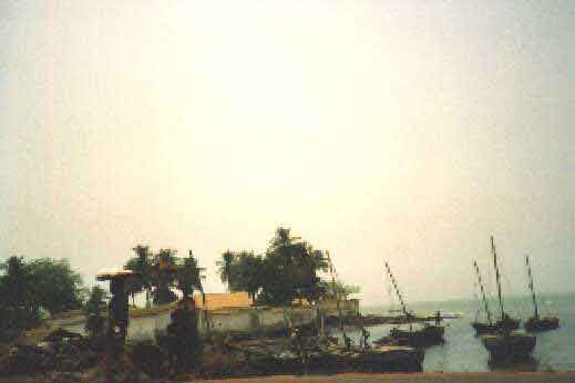 Un port de pêche de Conakry